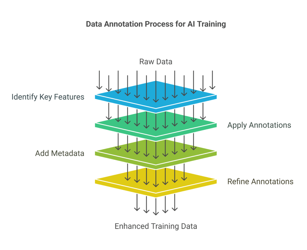 Data Annotation Process for AI Training