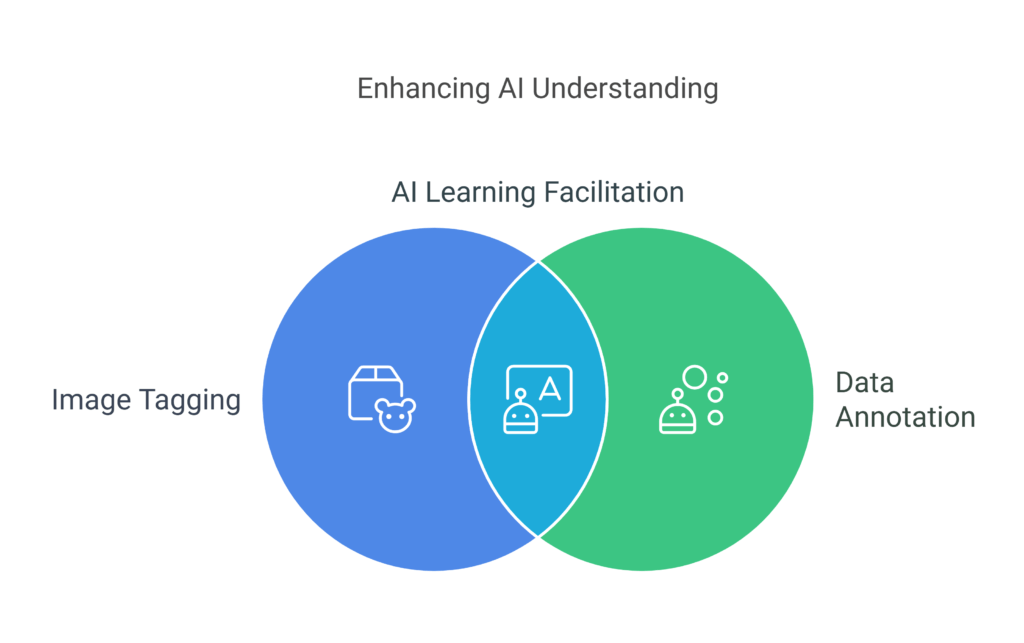 Enhancing AI Understanding